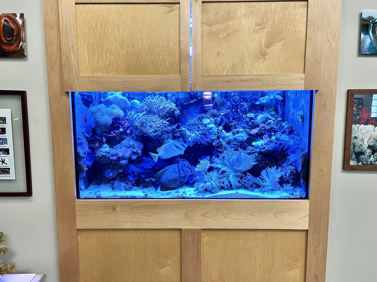 About Us Alamance Eye Center